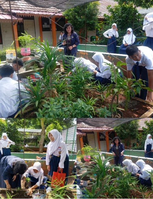 Budidaya Toga