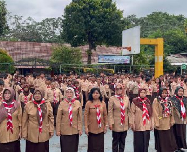 dse1