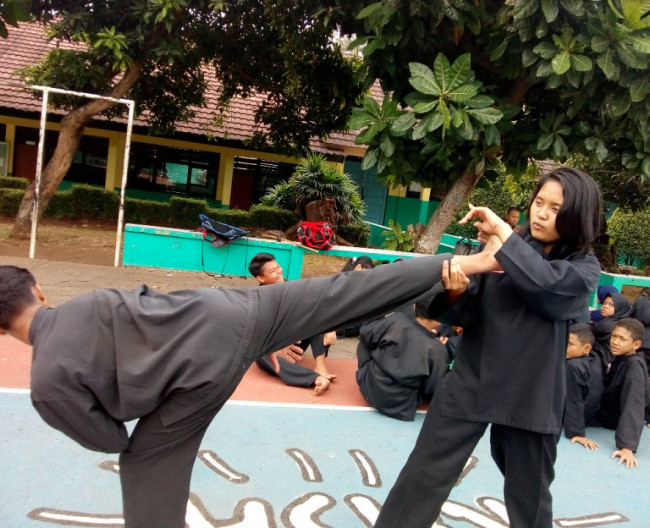 Tendan T