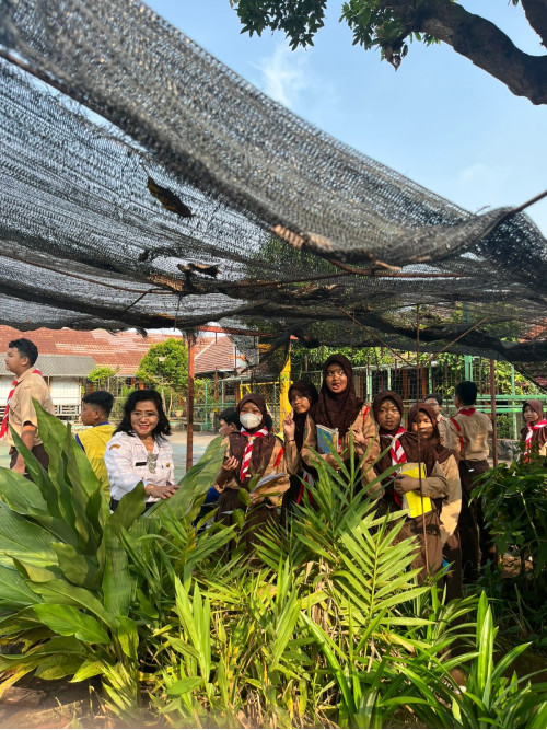 Klasifikasi Tanaman